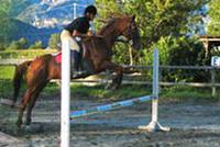 Reiten am Comer See