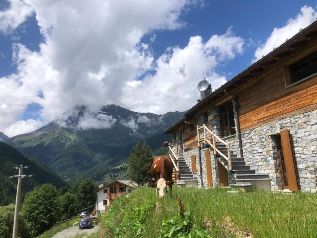 Rustico Chalet Masun - 0