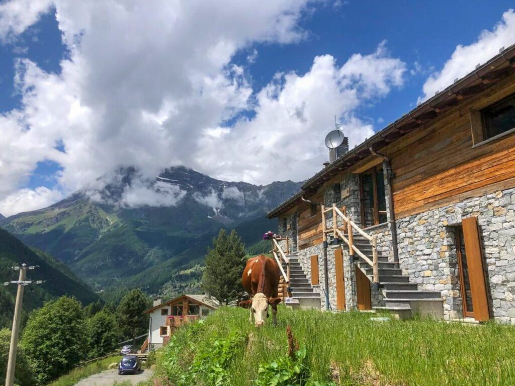 Rustico Chalet Masun SPA - 1