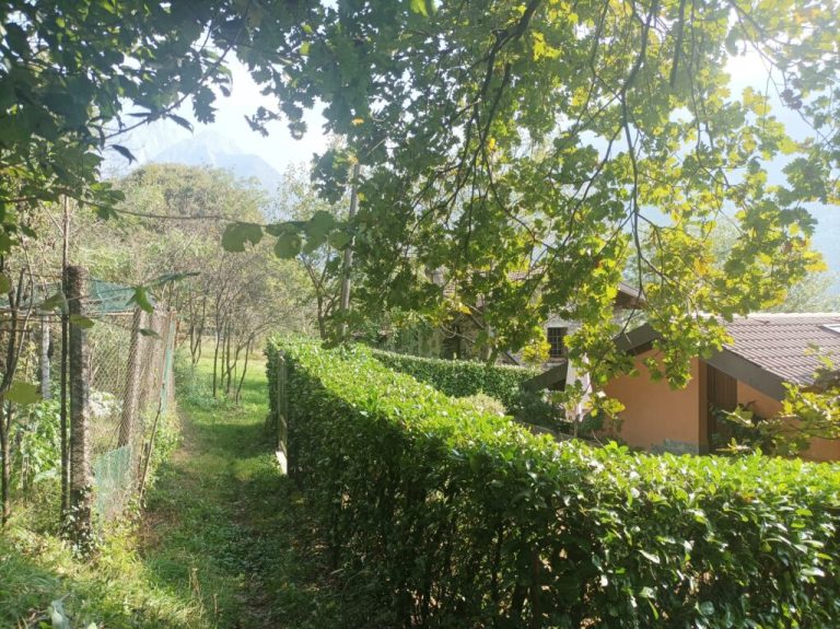 1696704561273-1024x766