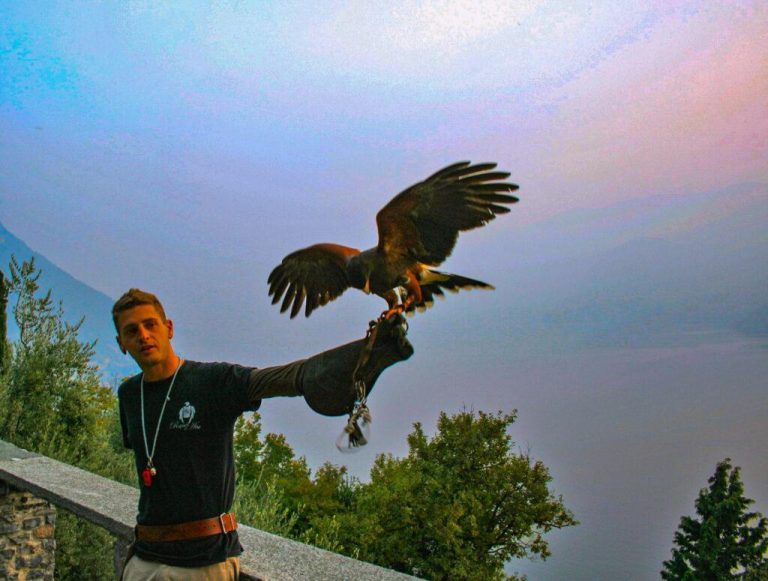 Greifvogelschau am Comer See