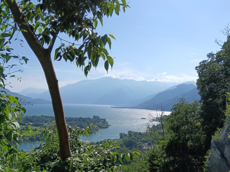 7_IMG_20250531_164544-1024x768