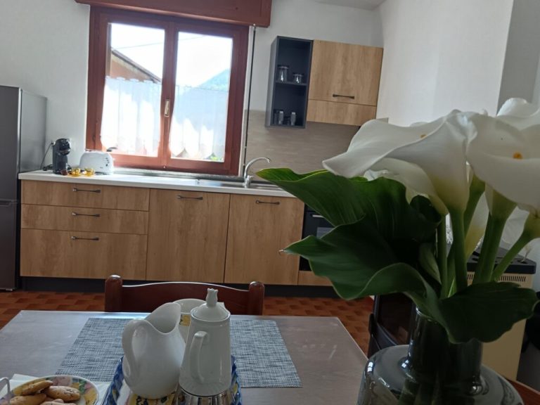 IMG_20250531_160420-1024x768