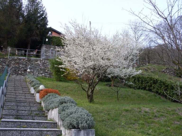 Immagine-112-1024x768