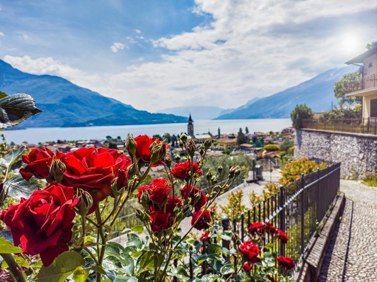 Landscape of Lake Como from Domaso