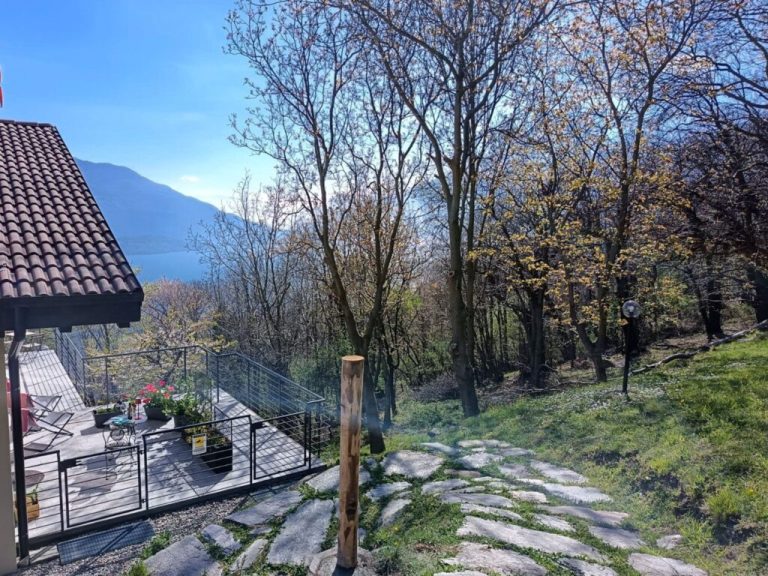 mf21310010-1024x768-1