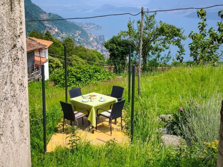 mf22556608-1024x768-1