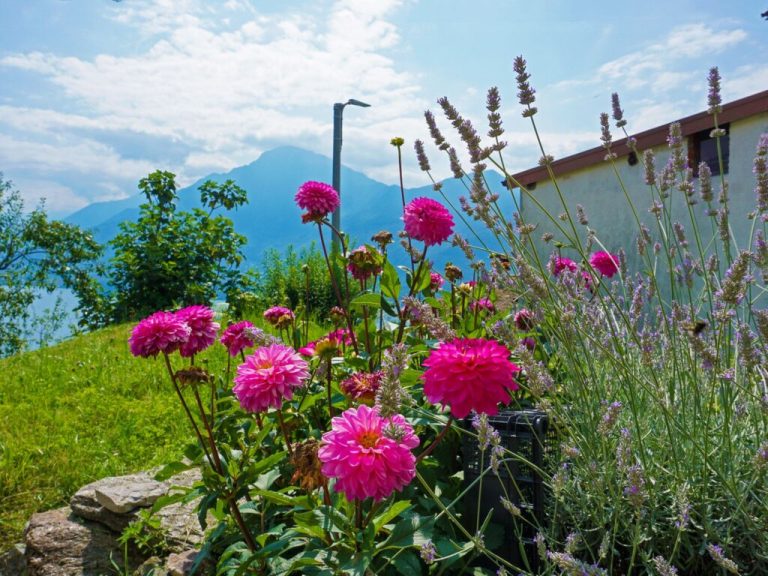 mf22990958-1024x768-1