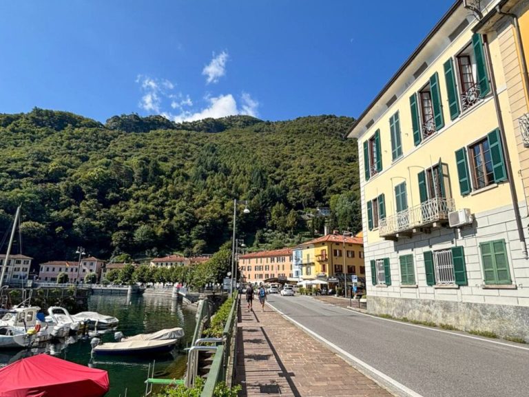 mf24008510-1024x768-1