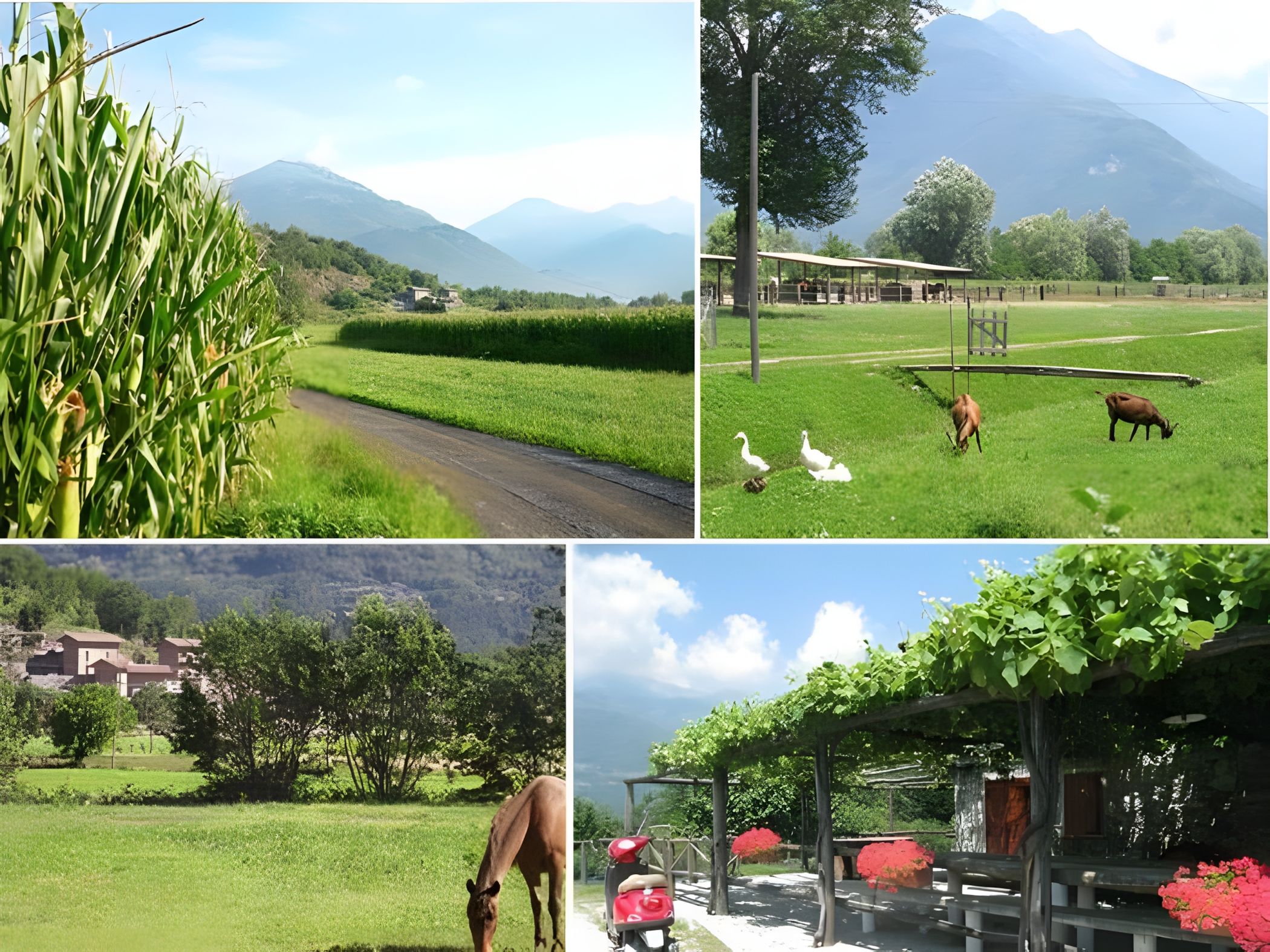 Pferdehof am Comer See